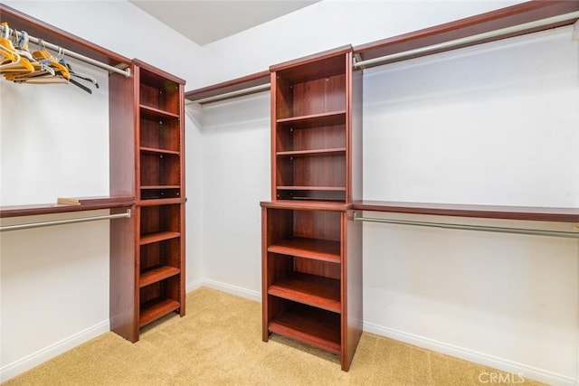 walk in closet with light colored carpet