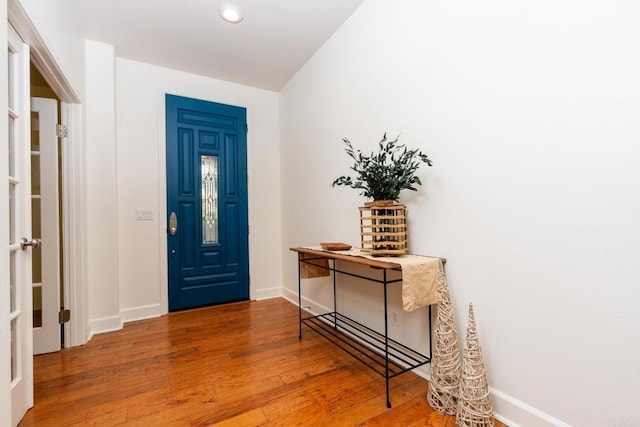 entryway featuring wood-type flooring