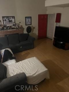 living room featuring hardwood / wood-style flooring