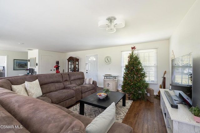 living room with ceiling fan and dark hardwood / wood-style flooring