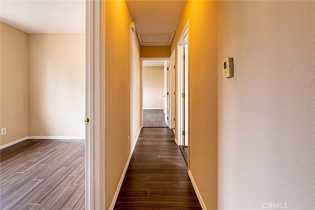 corridor with dark hardwood / wood-style flooring