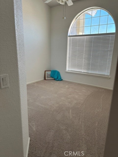 spare room featuring ceiling fan and carpet floors