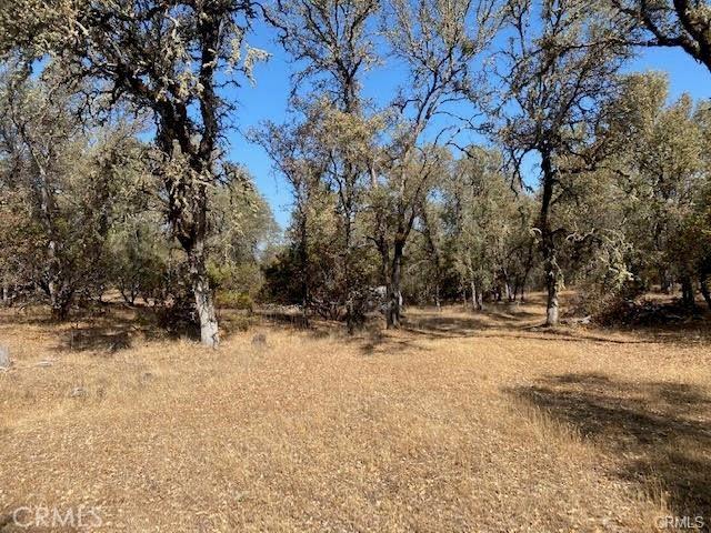 Listing photo 2 for 7360 Jacobsen Rd, Kelseyville CA 95451