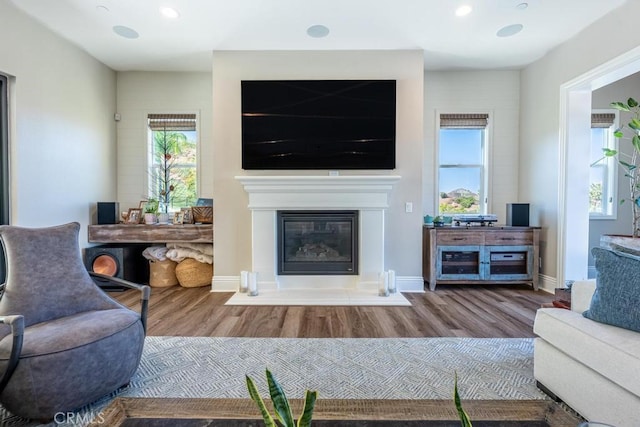 living room with wood-type flooring