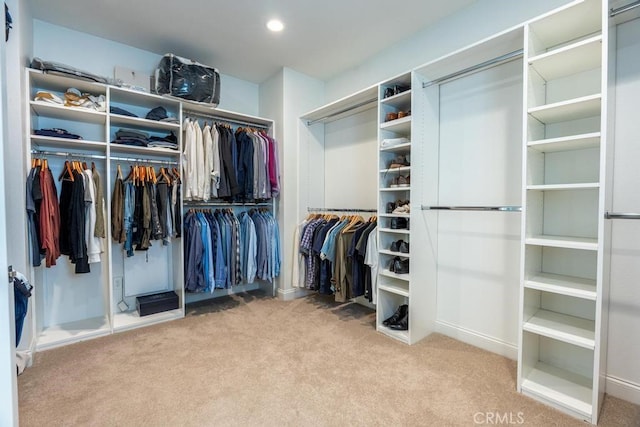 spacious closet featuring light carpet