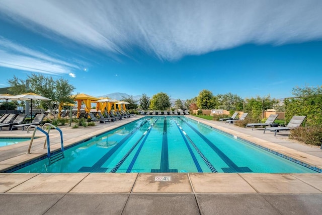 view of swimming pool featuring a patio area