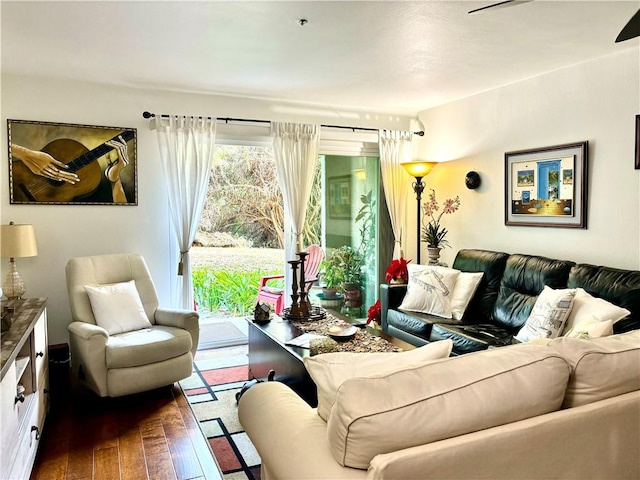 living room with dark hardwood / wood-style floors