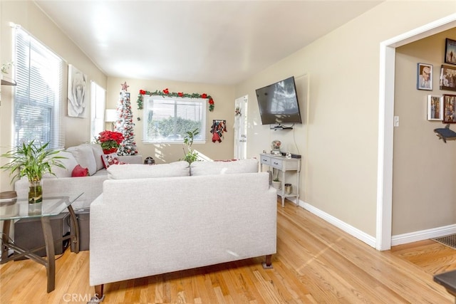 living room with hardwood / wood-style flooring and a healthy amount of sunlight