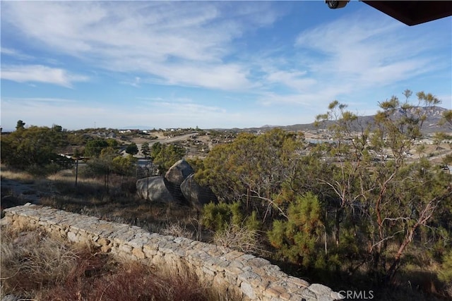 view of local wilderness