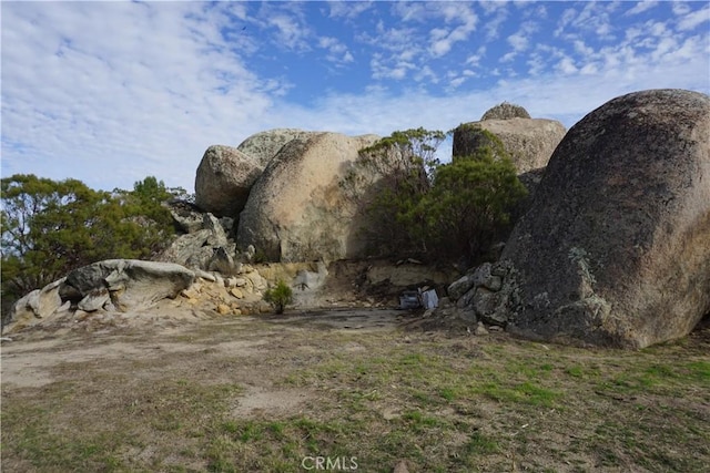 view of local wilderness