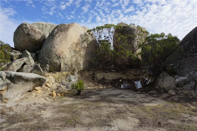 view of local wilderness