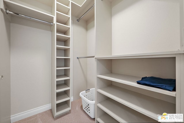 spacious closet with carpet floors