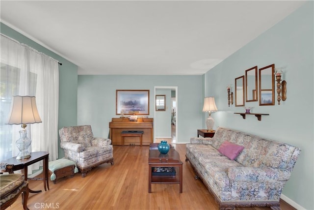 living room with hardwood / wood-style floors