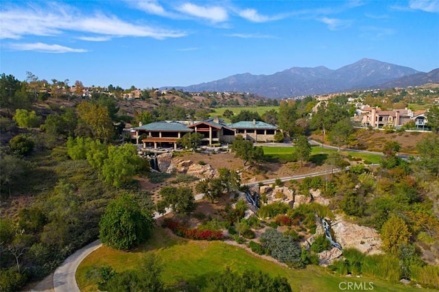 birds eye view of property featuring a mountain view