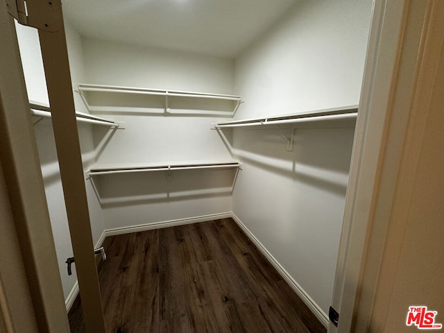 walk in closet with dark hardwood / wood-style floors