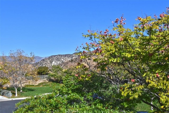 view of mountain feature