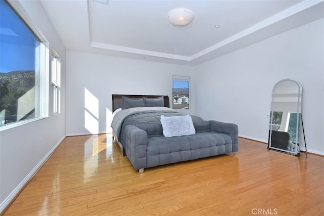 bedroom with a tray ceiling and light hardwood / wood-style flooring