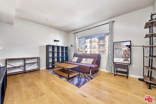 living area with light hardwood / wood-style floors