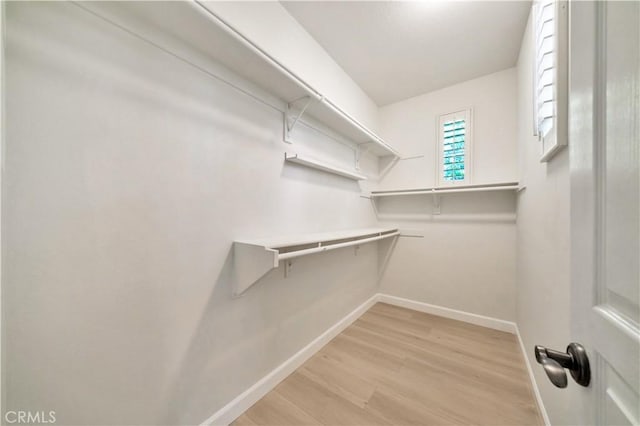 walk in closet with light hardwood / wood-style floors