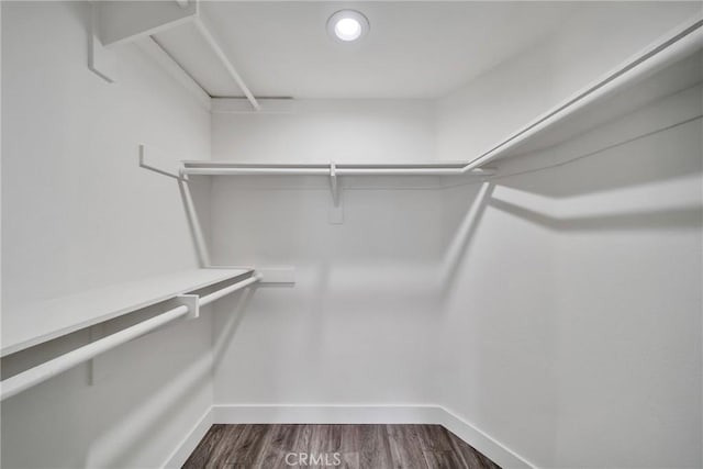 spacious closet with hardwood / wood-style flooring