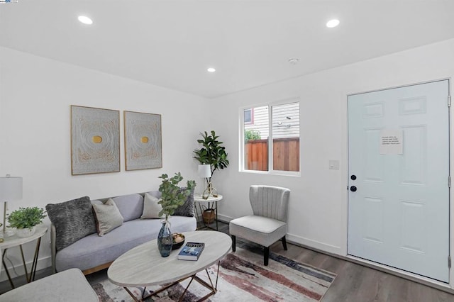 living room with wood-type flooring