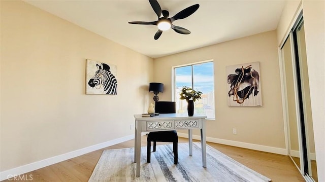 office featuring ceiling fan and hardwood / wood-style floors