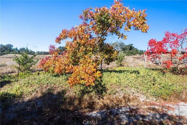 view of yard with a rural view