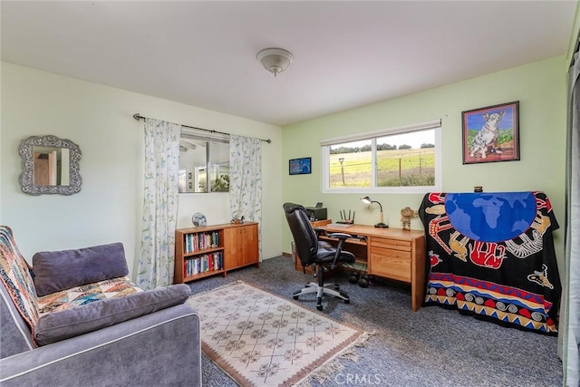 view of carpeted home office