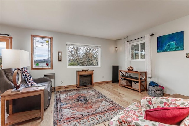 living room with light hardwood / wood-style flooring