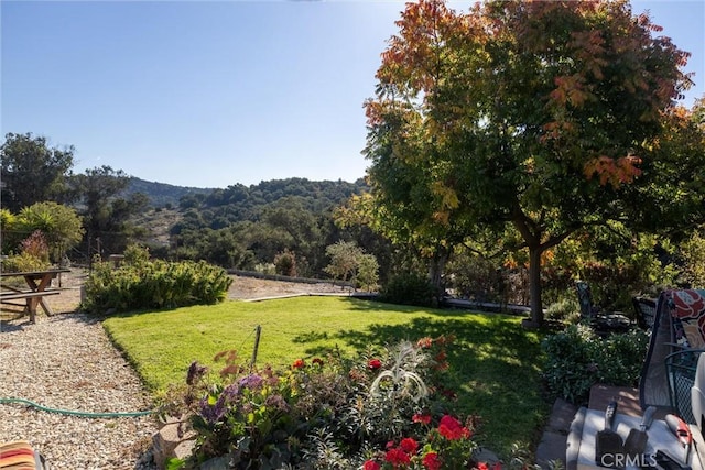 view of yard featuring a mountain view