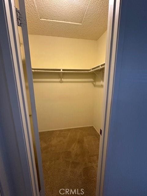 spacious closet featuring dark colored carpet