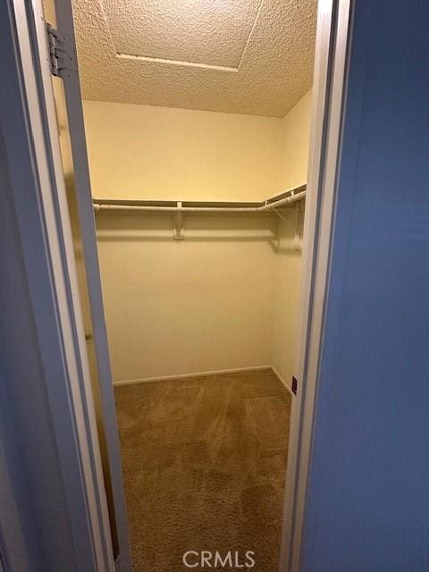 walk in closet with dark carpet