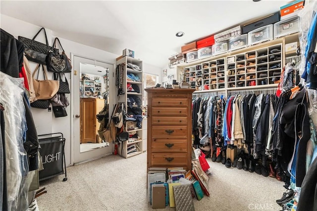 spacious closet featuring carpet flooring