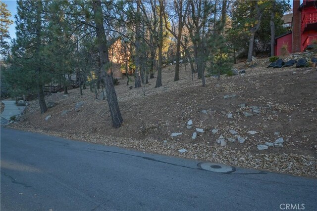 1411 Yosemite Dr, Lake Arrowhead, CA 92352