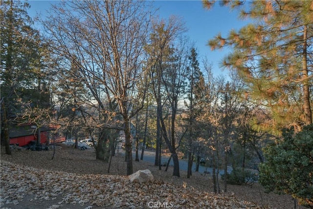 1411 Yosemite Dr, Lake Arrowhead, CA 92352