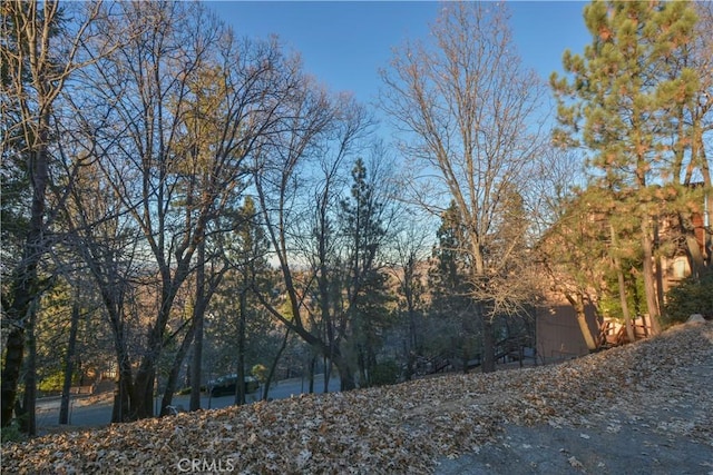 1411 Yosemite Dr, Lake Arrowhead, CA 92352