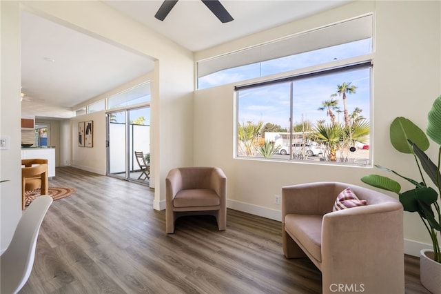 living area featuring ceiling fan and wood-type flooring