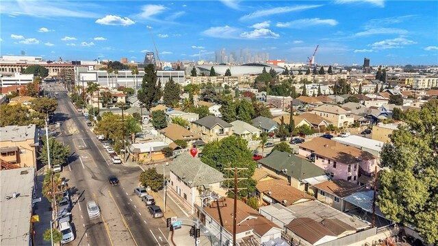 732 W 41st Dr, Los Angeles, CA 90037 - photo 11