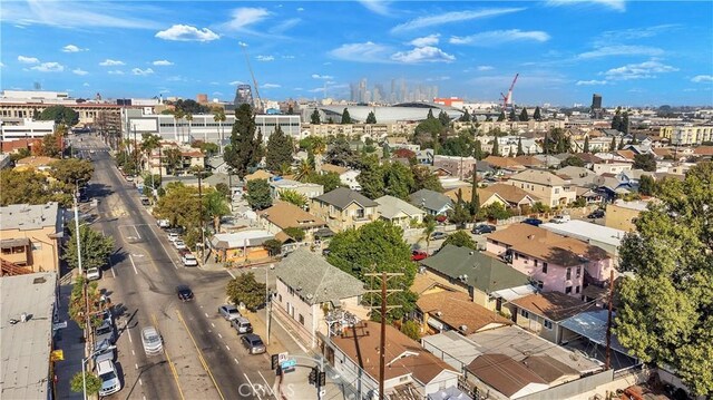732 W 41st Dr, Los Angeles, CA 90037 - photo 10