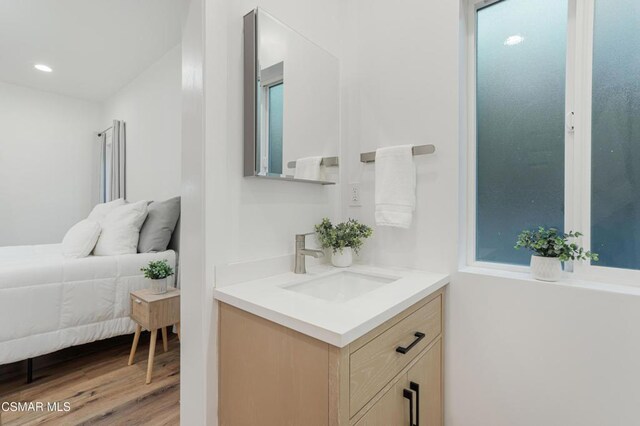 bathroom with vanity and wood-type flooring