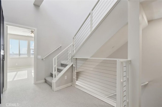 stairway with carpet flooring