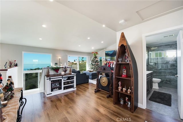 living room with wood-type flooring