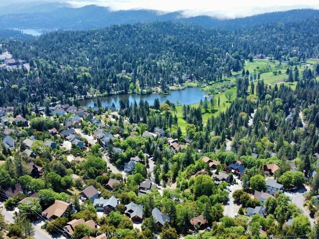 0 Black Oaks Ct, Lake Arrowhead CA, 92352 land for sale