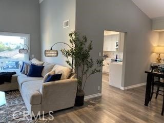 living room with high vaulted ceiling and hardwood / wood-style floors