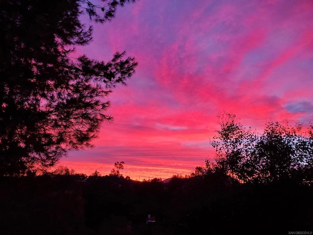 view of nature at dusk