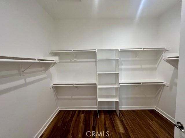 walk in closet with hardwood / wood-style floors