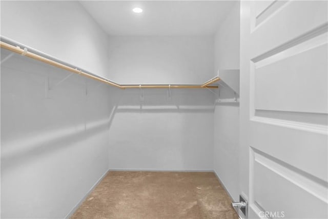 walk in closet with carpet