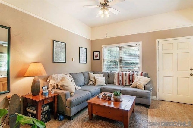 living room with wood-type flooring and ceiling fan