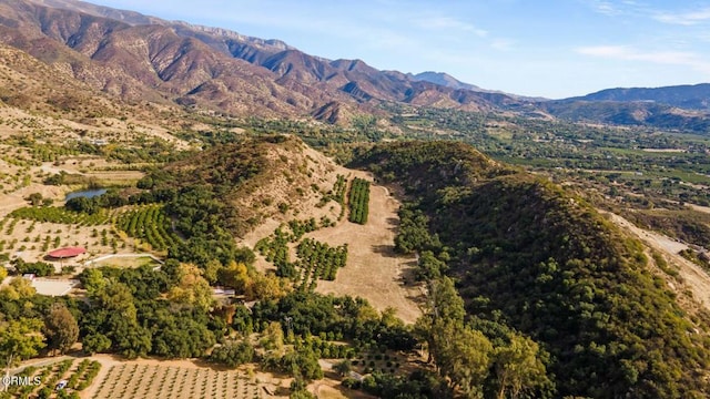 view of mountain feature