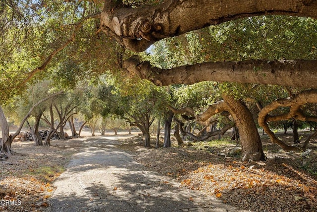 view of surrounding community